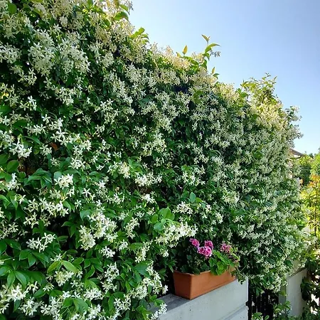 Διαμέρισμα La Casa Del Sole